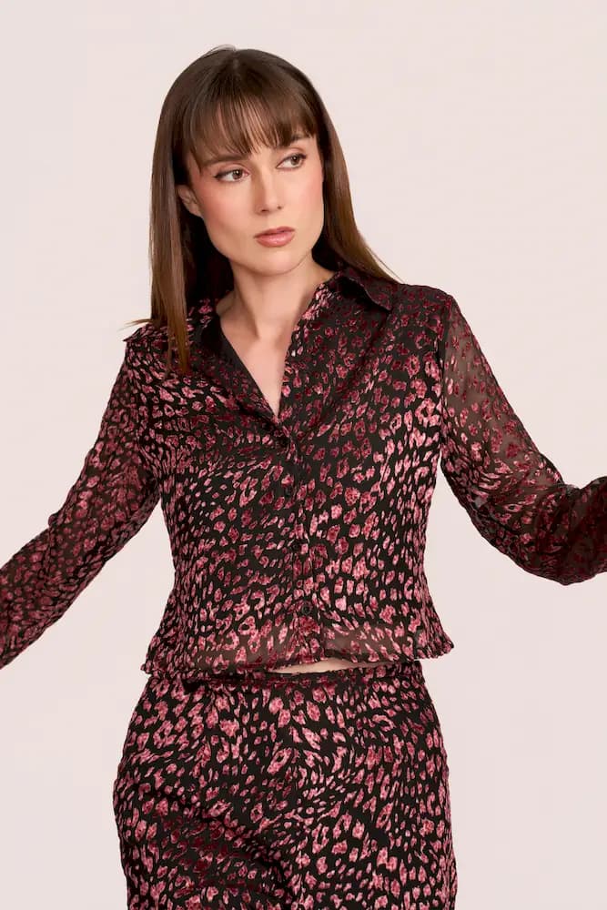 The Dark Side Animal Velvet Coord