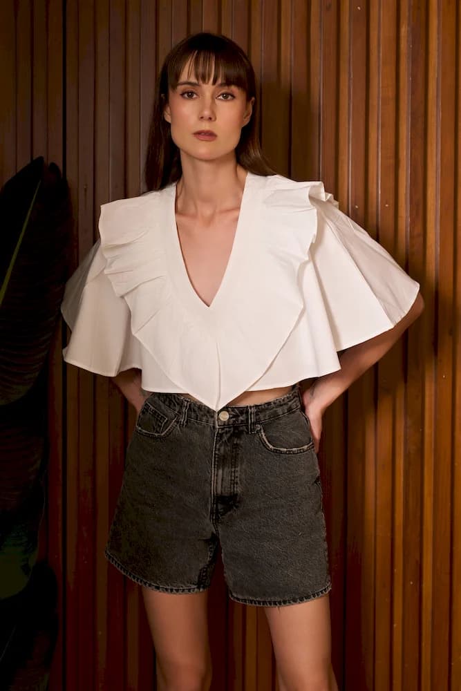 The Flappy V Neck Crop Top